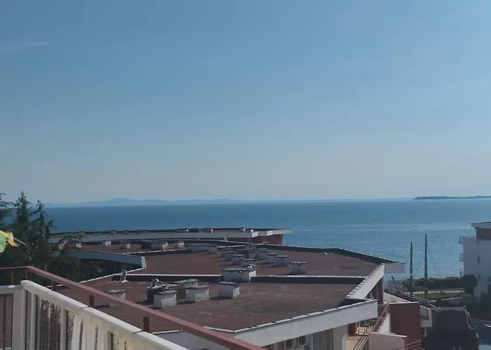 Yana Privilege Elinite エレニテ