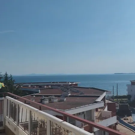 Yana Privilege Elinite Elenite